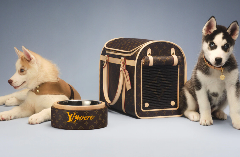 Luxury for Your Furry Companion: Louis Vuitton Malle Chien Dog Sleek Trunk M10063