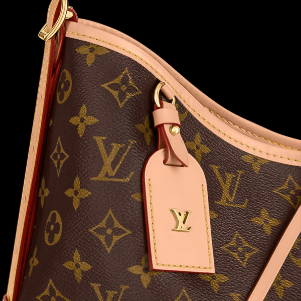 Louis Vuitton CarryAll PM Handbag M46203 LV CarryAll Monogram Canvas Bag With Natural Leather Trim - Image 5