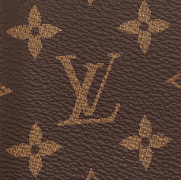 Louis Vuitton POCKET ORGANIZER M60502 - Image 4